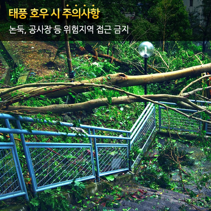 5.태풍발생 시 국민행동요령 안내